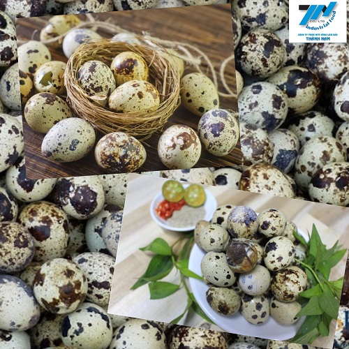 Trứng cút - Thực Phẩm Thành Nam - Công Ty Cổ Phần Nông Sản Thực Phẩm Thành Nam
